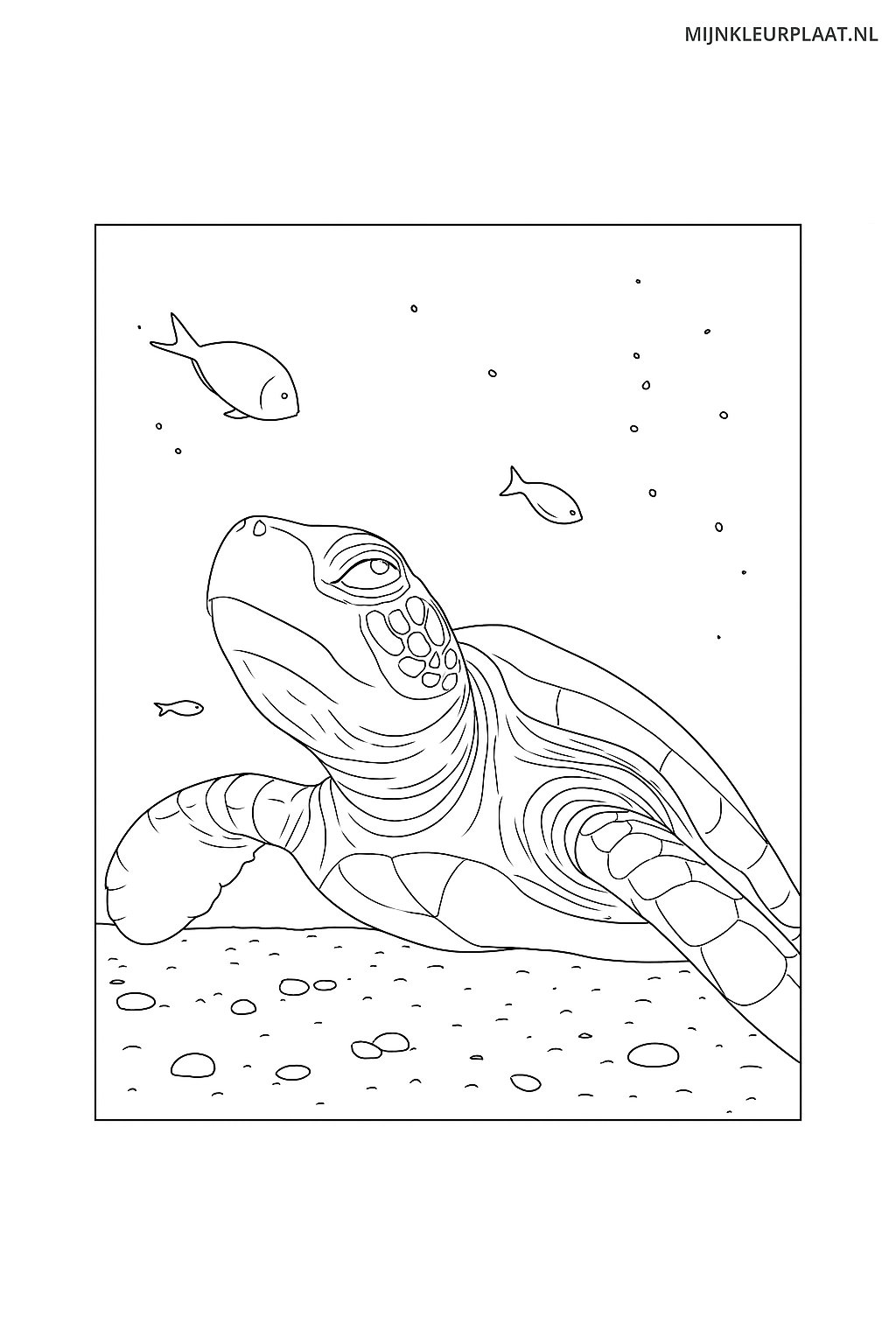 Zeedieren Variant 2 coloring page for children