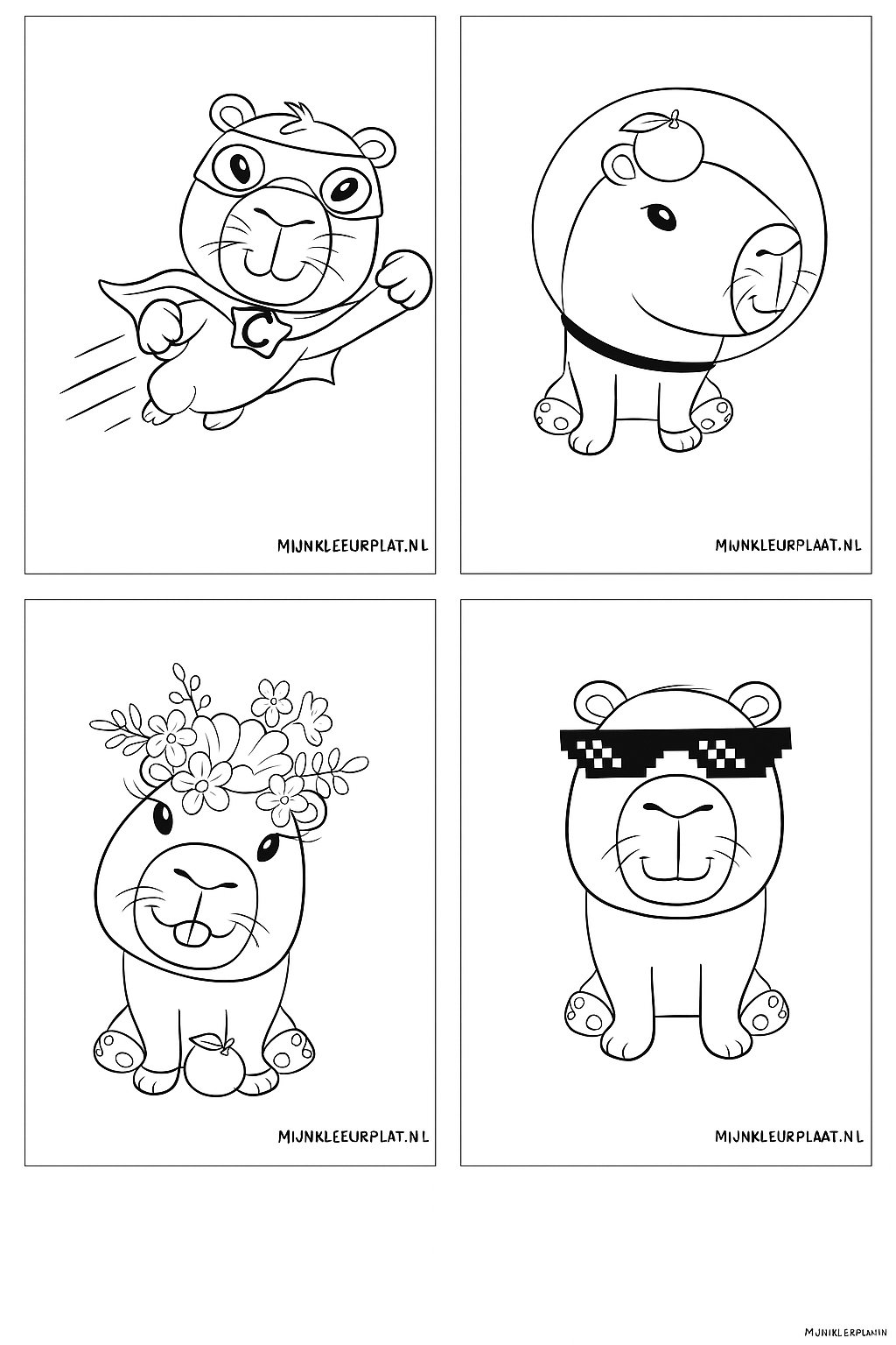 Capybara Variant 1 coloring page for children