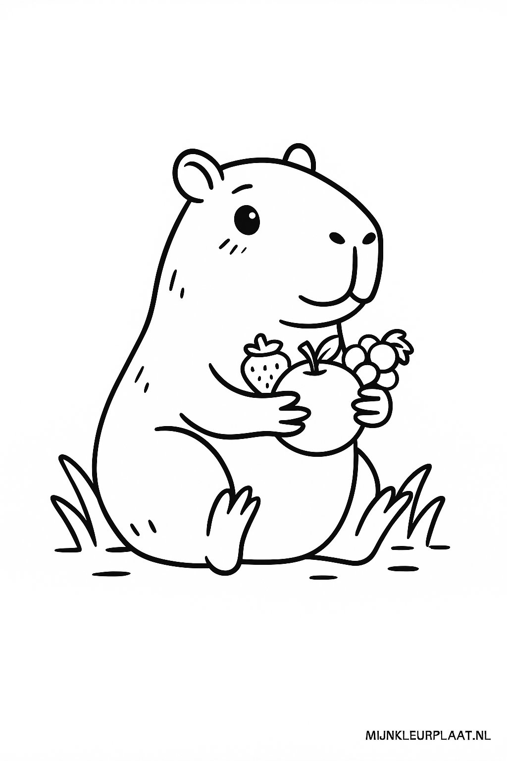 Capybara Variant 3 coloring page for children