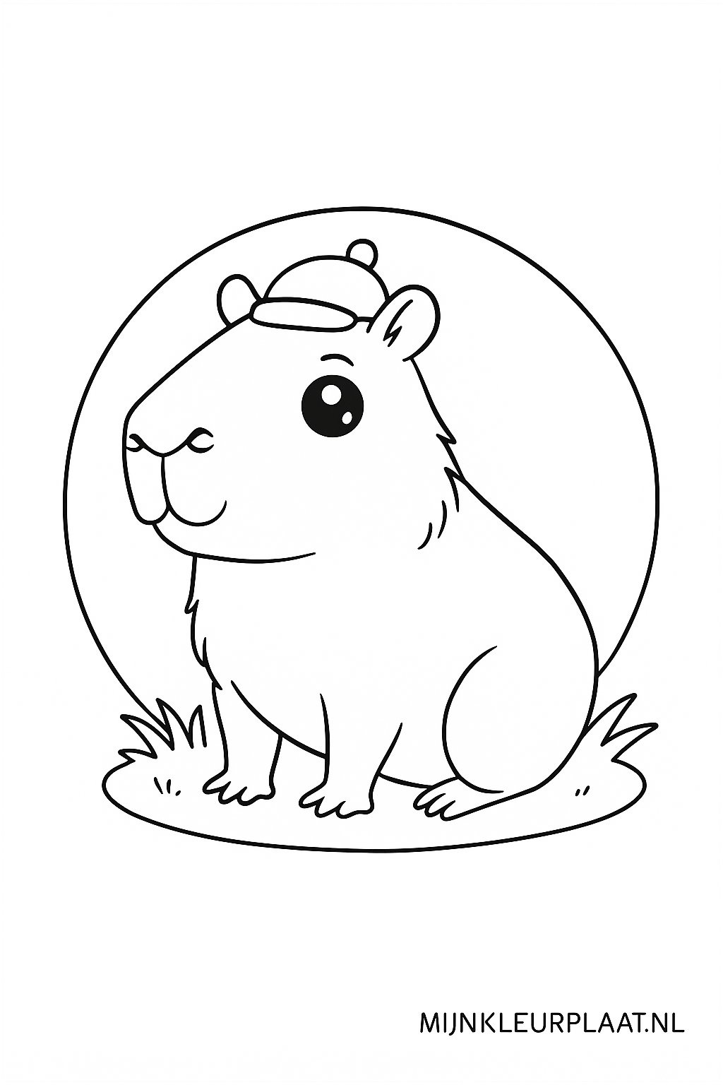 Capybara Variant 1 coloring page for children