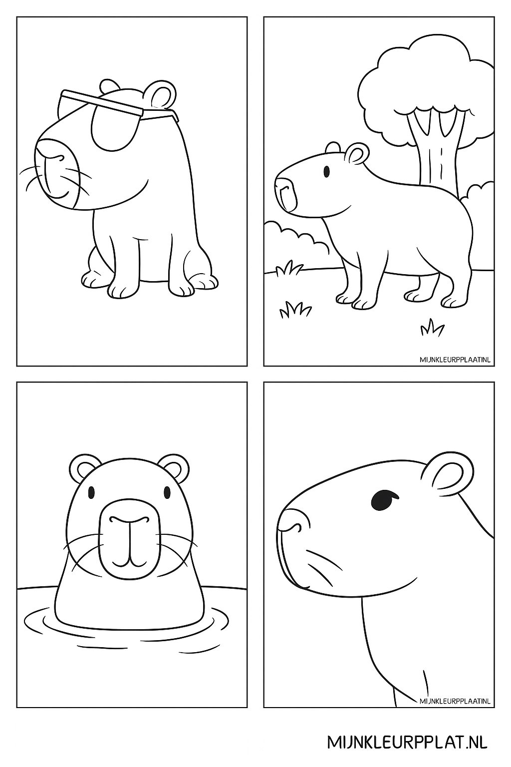 Capybara Variant 3 coloring page for children