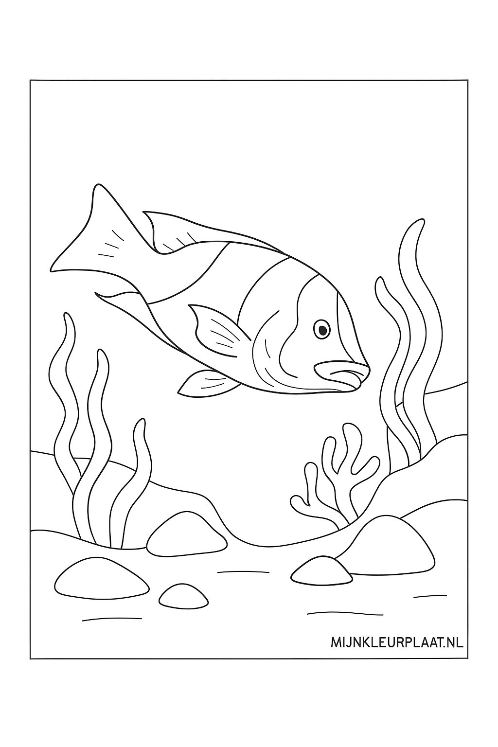 Zeedieren Variant 4 coloring page for children
