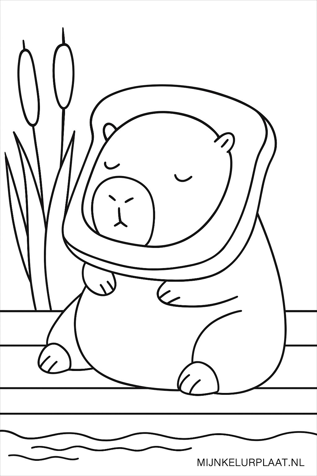 Veuillez fournir le texte néerlandais à traduire.