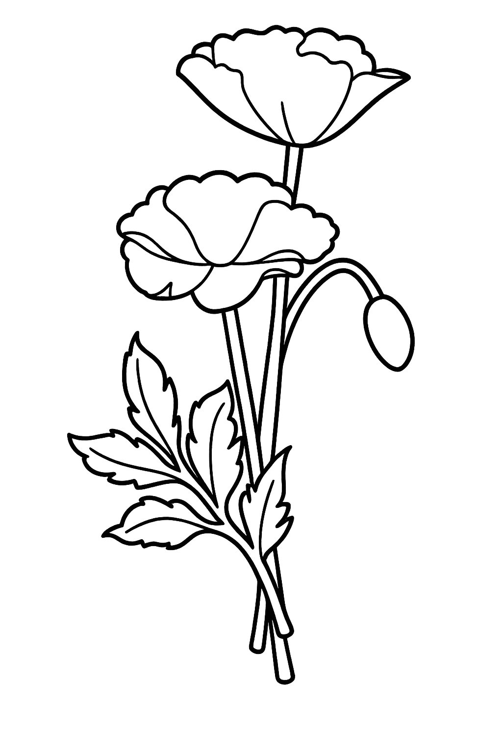 Kleurplaat van klaproos, variant 1