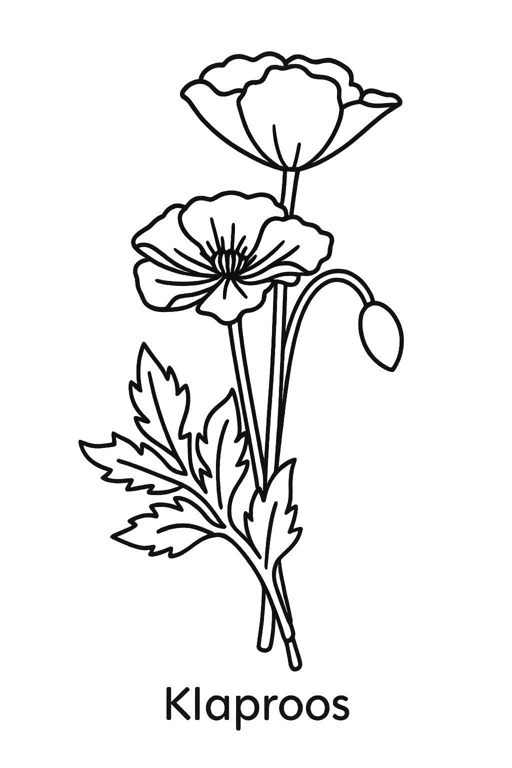 Kleurplaat van klaproos, variant 3