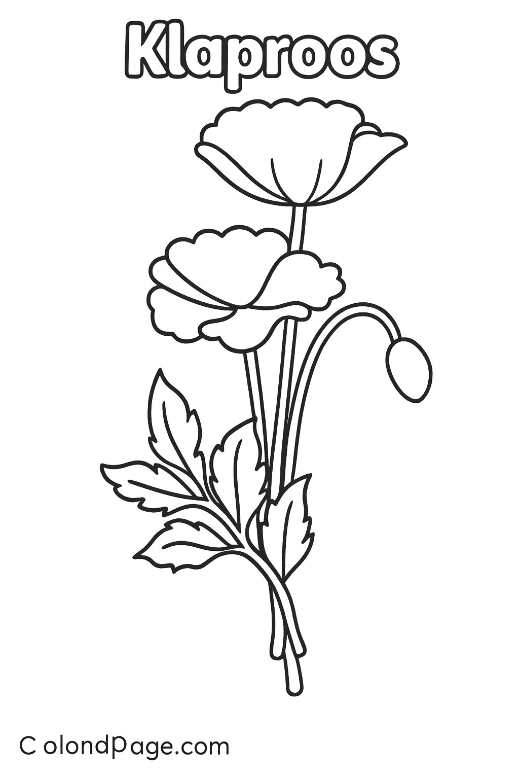 Kleurplaat van klaproos, variant 4