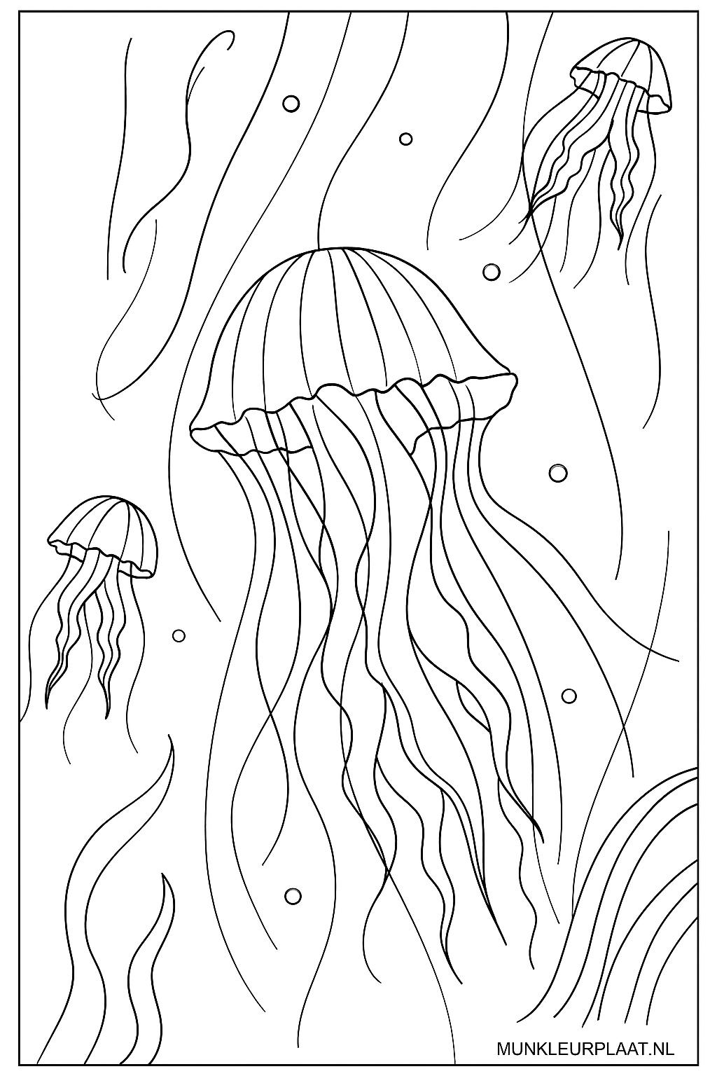 Zeedieren Variant 2 coloring page for children