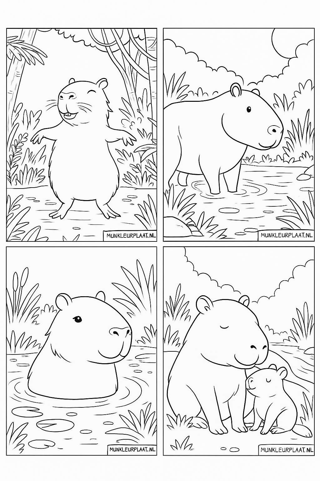 Veuillez fournir le texte néerlandais à traduire.