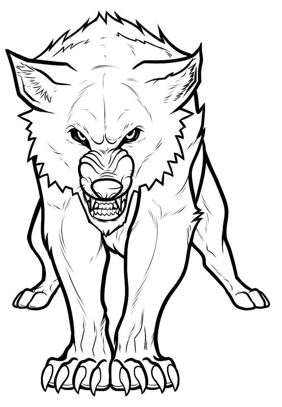 Angry Arctic Wolf coloring page for children