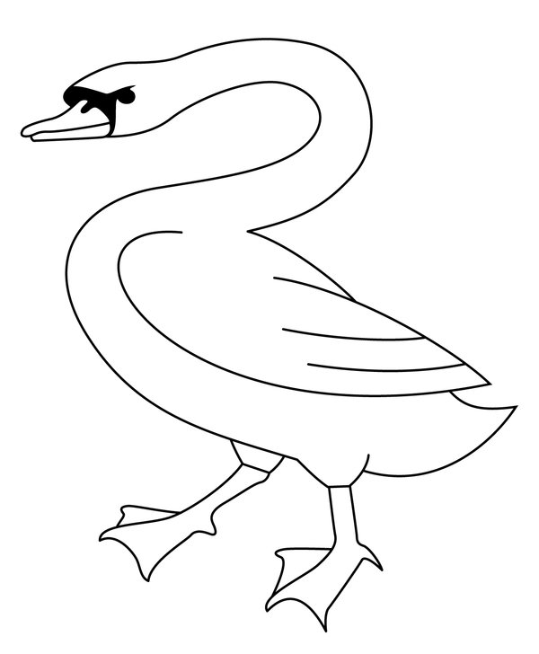Aves Easy White Swan coloring page for children