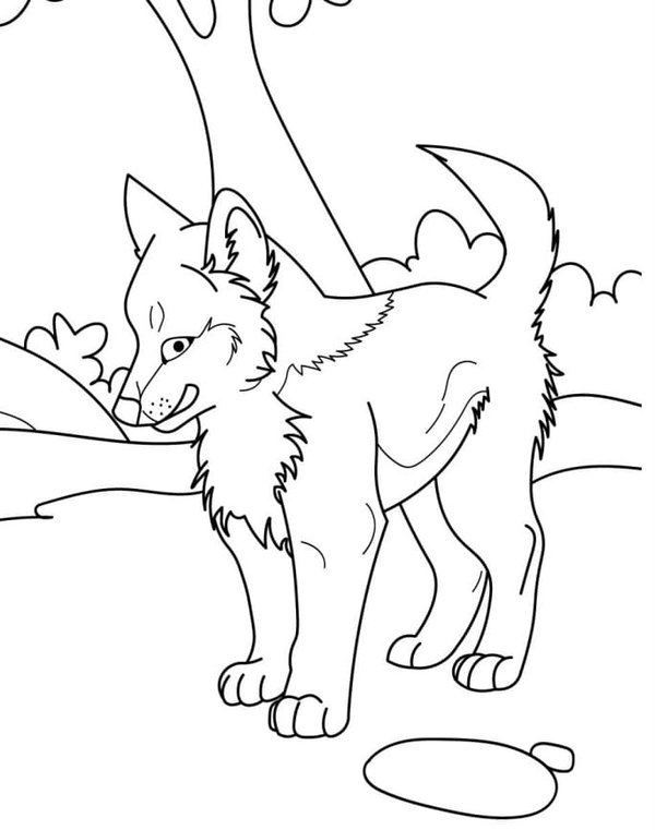 Baby Wolf Bos coloring page for children