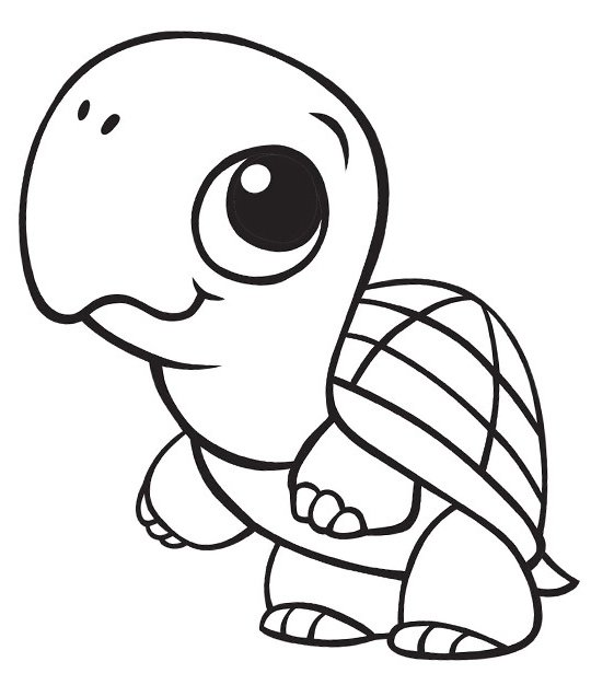 Bébé tortue debout coloring page for children