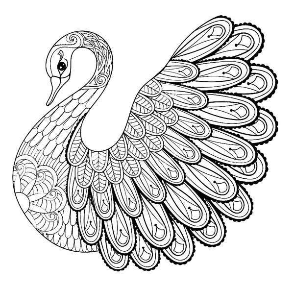 Birds White Swan Detailed coloring page for children