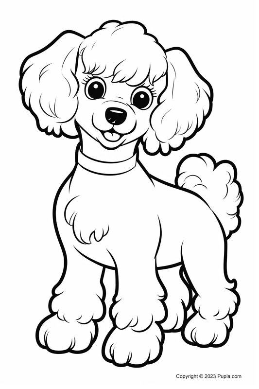 Bonito Caniche Frances coloring page for children