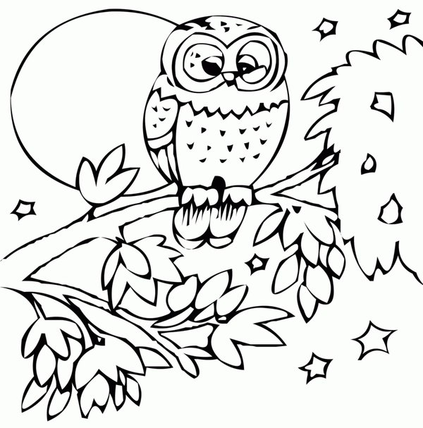 Buho De Otono En Un Arbol coloring page for children