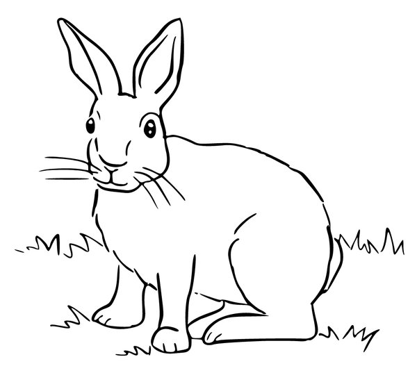 Bunny Grass coloring page for children