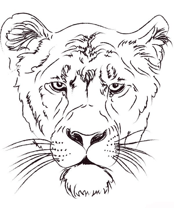 Cabeza De Leon Hembra coloring page for children
