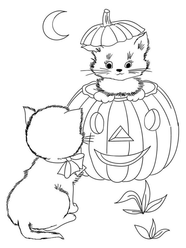 Chat D Halloween Dans Une Citrouille coloring page for children