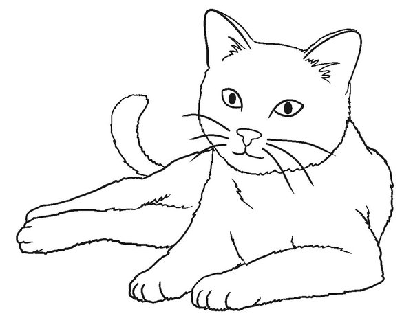 Chat Menteur coloring page for children