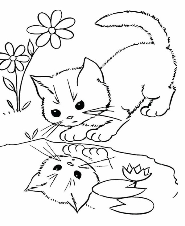 Chaton Regardant Dans L Eau coloring page for children