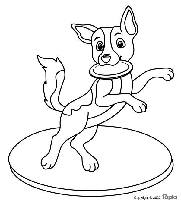 Chien Avec Frisbee coloring page for children