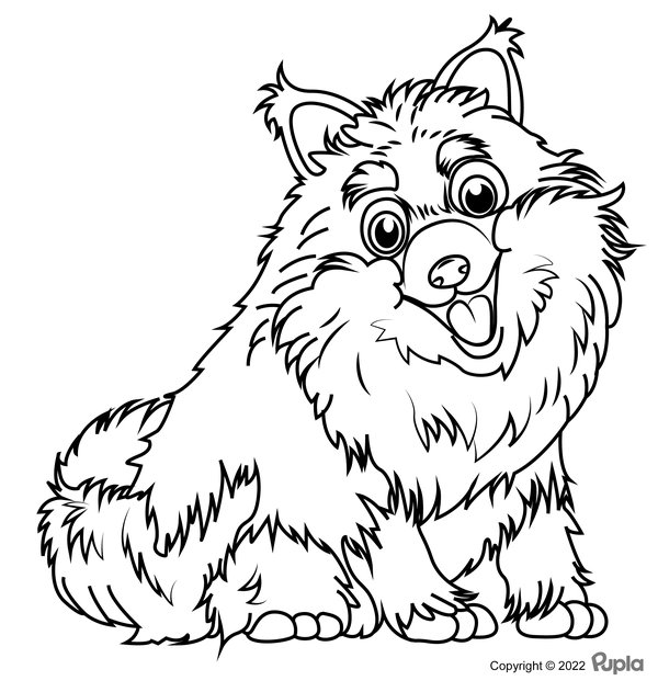 Chien Heureux Et Poilu coloring page for children