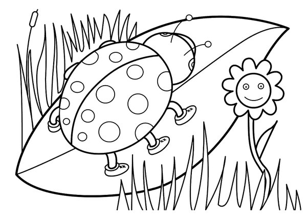 Coccinelle Sur Une Feuille De Printemps coloring page for children