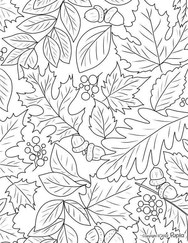Composicion De Hojas Y Bellotas De Otono coloring page for children