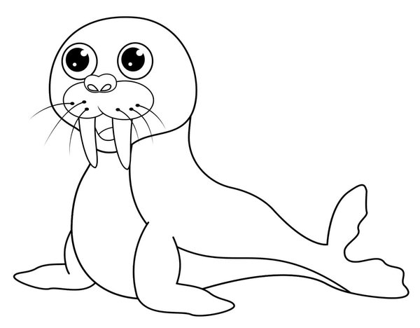 Cute Seal coloring page for children
