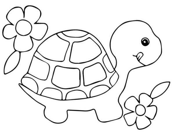 Cute Turtle With Flowers coloring page for children