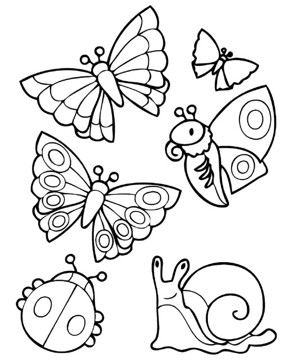 Différents animaux printaniers coloring page for children