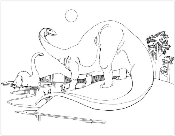 Dinosaure Brontosaure coloring page for children