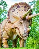 Dinosaur Coloring Pages