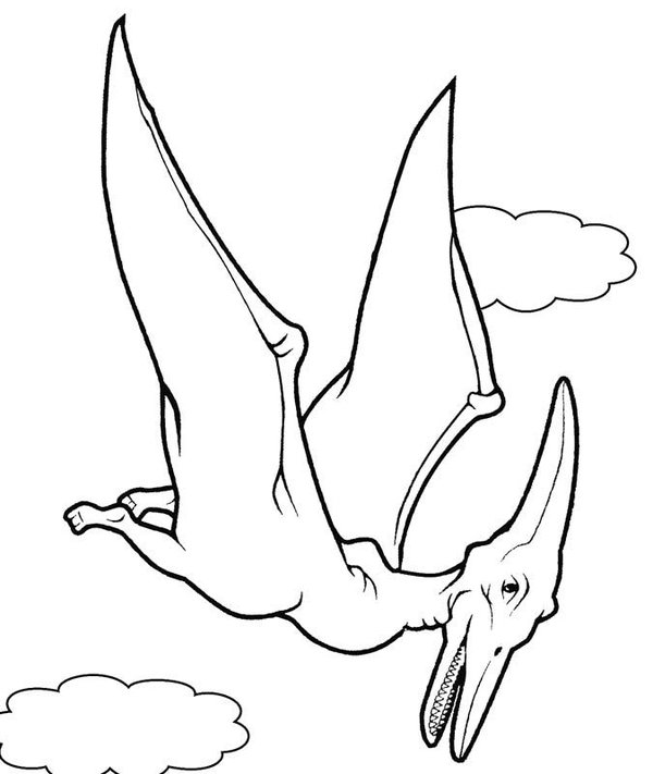 Dinosaurus Pterodactyl coloring page for children