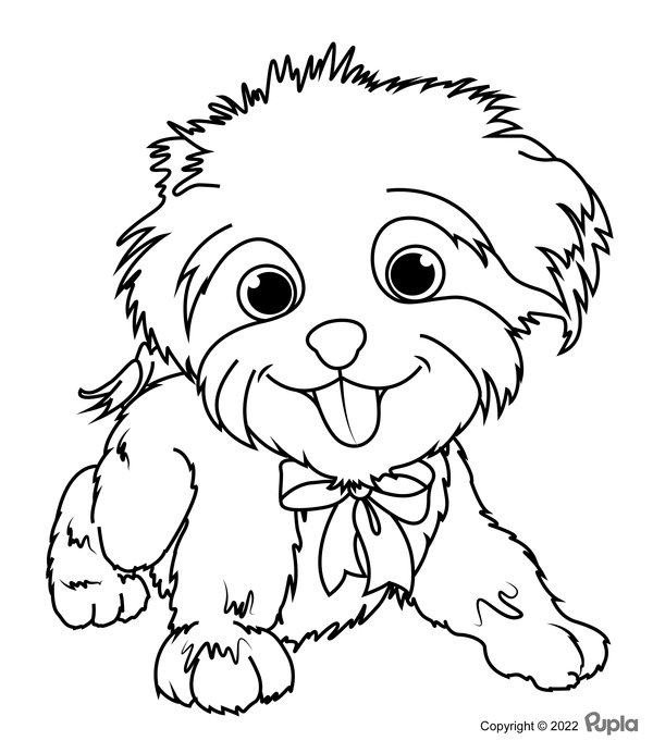 Dog Hairy Puppy coloring page for children
