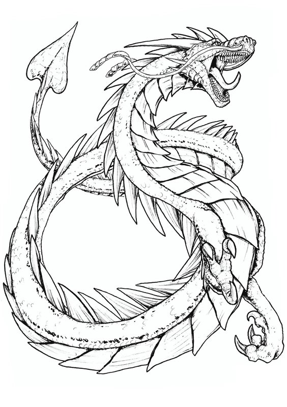 Drache im Himmel coloring page for children
