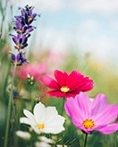 Easter Coloring Page coloring page for children