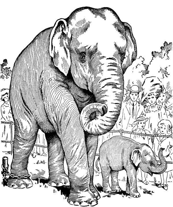 Elefant mit Baby Detailliert coloring page for children