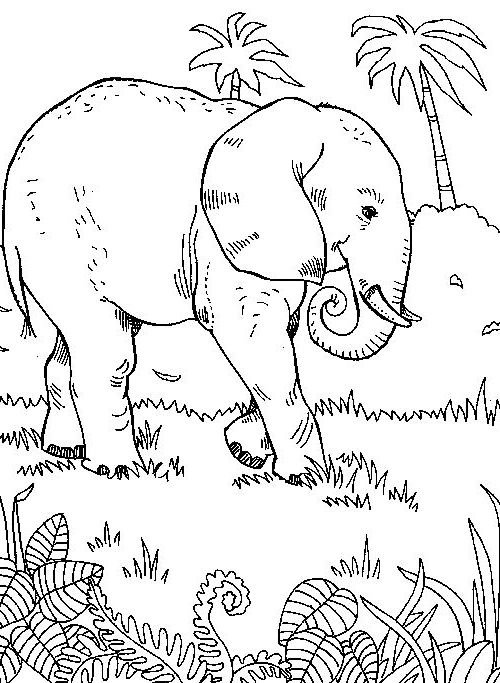Elephant Walking Through Forest coloring page for children