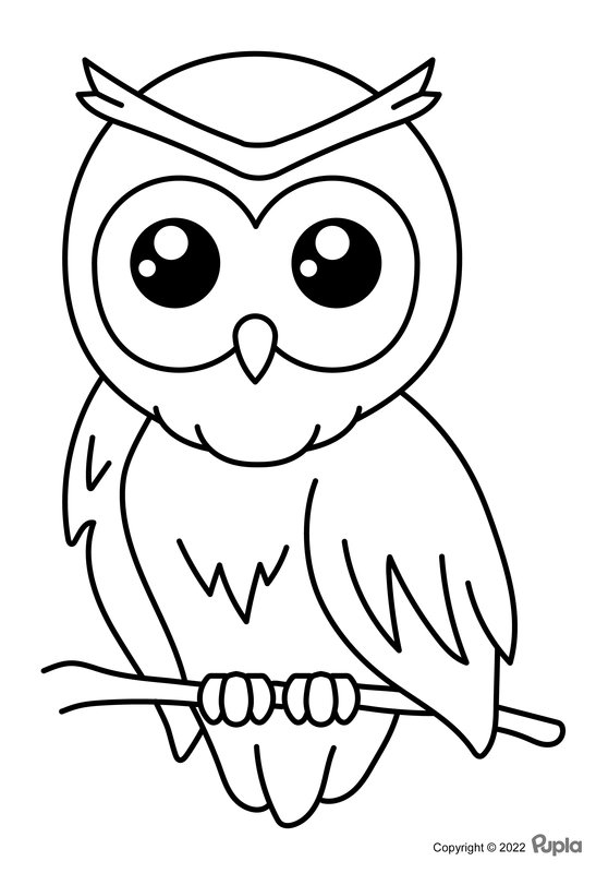 Eule Einfach Und Niedlich coloring page for children