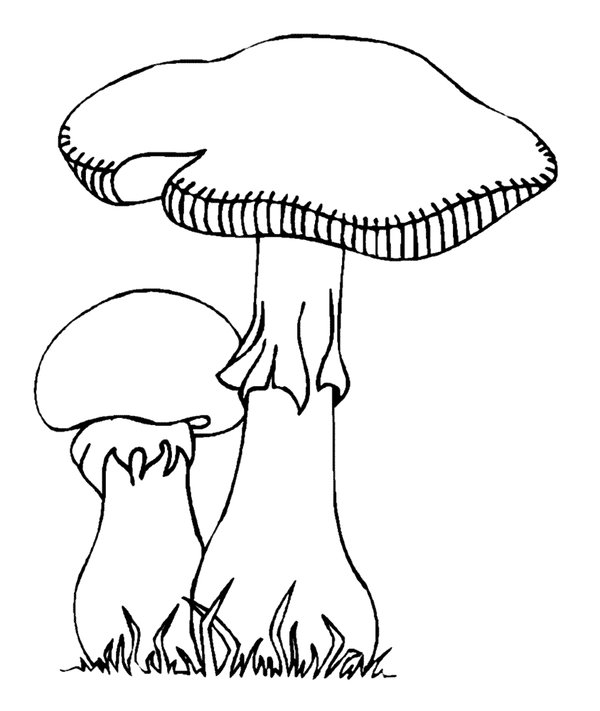 Fall Zwei Pilze coloring page for children