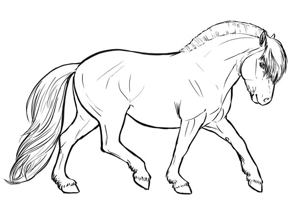 Fjord Du Cheval coloring page for children
