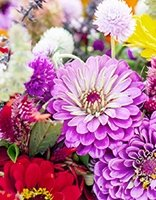 Fleurs coloring page for children