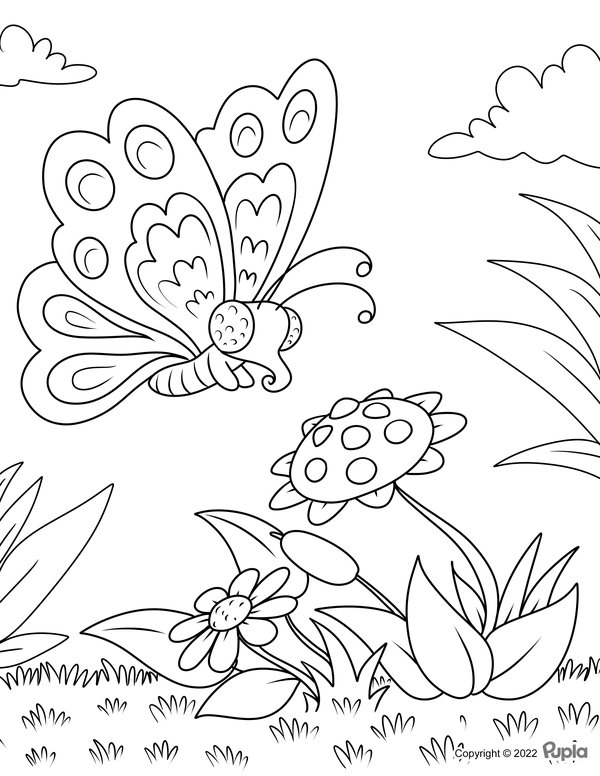 Fliegender Schmetterling und Blumen coloring page for children