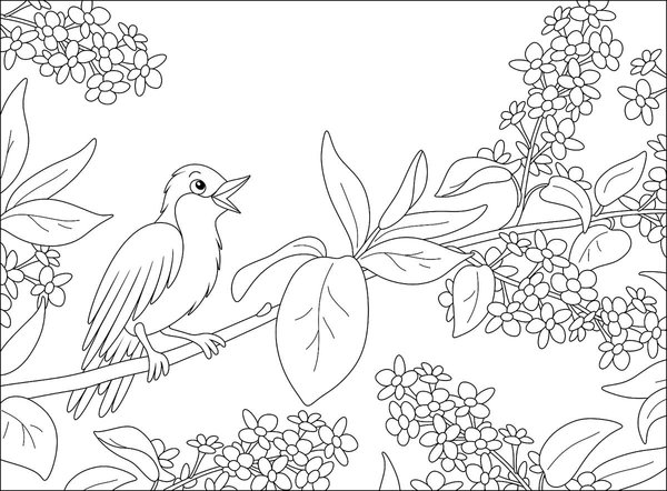 Frühling Singvogel im Baum coloring page for children