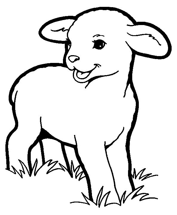 Frühlingslamm coloring page for children