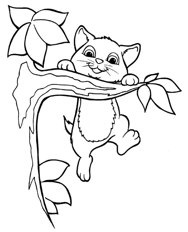 Gatito En Un Arbol coloring page for children