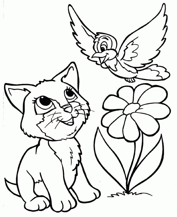 Gato Con Pajaro Y Flor coloring page for children