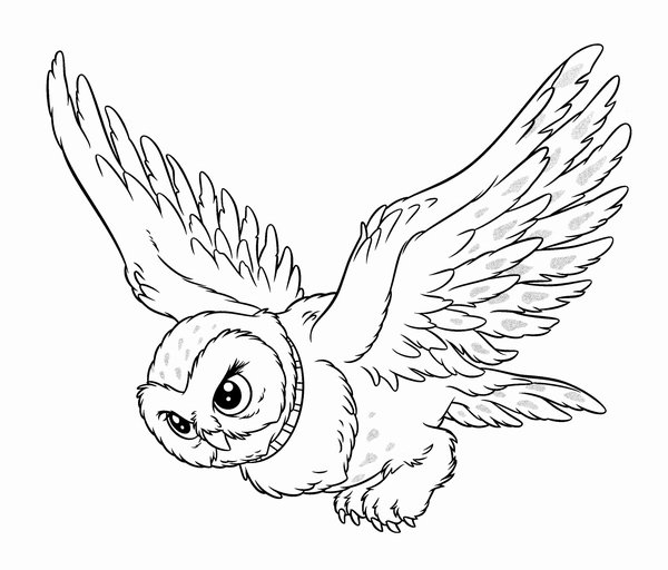 Harry Potter Buho Hedwig coloring page for children