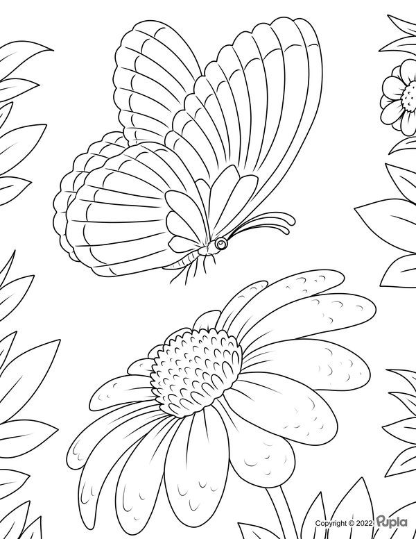 Hermosa Mariposa Con Gran Flor coloring page for children
